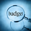 magnify budget