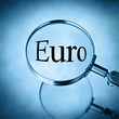 magnify euro