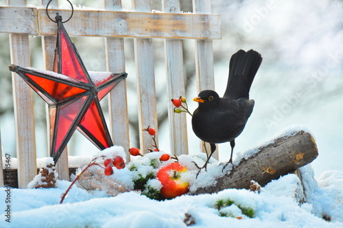 Photo: Winter Winter