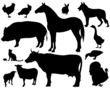 on the farm - set of fine vector silhouettes