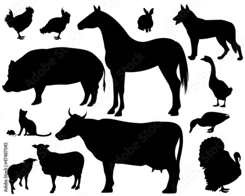 Vector: on the farm - set of fine vector silhouettes on the farm - set of fine vector silhouettes