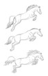 Jumping horse