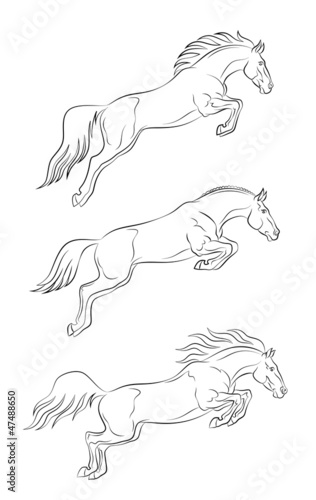 Vector: Jumping horse Jumping horse