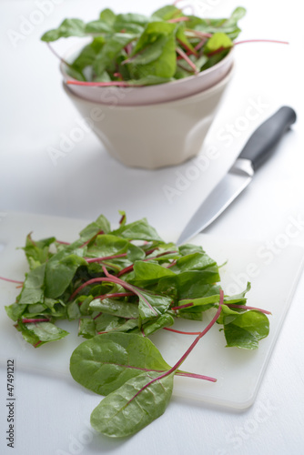 Photo: Red chard Red chard
