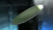 Artist recreation Microchip silicon wafer. Matte included.