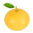 grapefruit