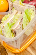 Lunch box with sandwich  and apple