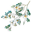 Watercolor flowers in a classical style on a white background