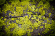Dark Grungy Rock Background Texture Pattern