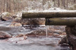 Creek in Sweden, early winter