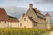 vignoble de bourgogne