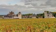 vignoble de bourgogne