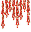 Year of the Snake Ornaments