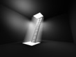 Black shiny ladder in the middle of a dark room leads out to the