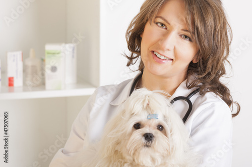 Photo: Woman vet holding a dog Woman vet holding a dog