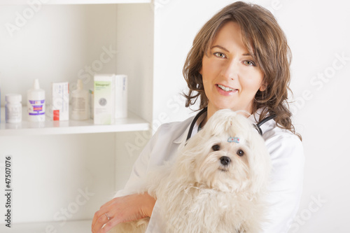 Photo: Woman vet holding a dog Woman vet holding a dog