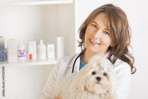 Photo: Woman vet holding a dog Woman vet holding a dog