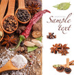 Collection of Spices on wooden table with spoons