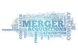 Word Cloud "Merger & Acquisitions"