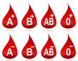 Drops of blood with typed blood groups