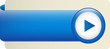 BLANK web button (rectangular blue icon arrow)