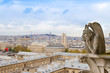 Photo: Gargoyle on Notre Dame Cathedral, France Gargoyle on Notre Dame Cathedral, France