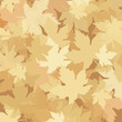 Autumn background with leaves