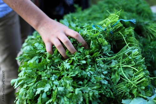 Photo: buying Parsley buying Parsley