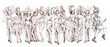 Cancan dancers - Retro image with lots of show girls