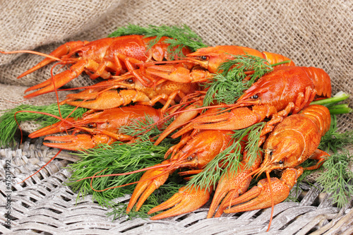 Photo: Tasty boiled crayfishes with fennel Tasty boiled crayfishes with fennel