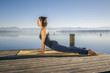 Urdhva Mukha Shvanasana