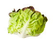 Lettuce salad