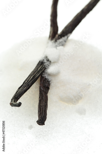 Photo: Vanilleschoten auf einem Haufen Zucker Vanilleschoten auf einem Haufen Zucker