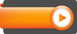 BLANK web button (rectangular orange icon arrow)
