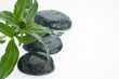 zen stones and leaves with water drops