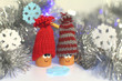 Winter fairytale