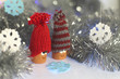 Winter fairytale