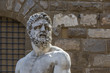 Foto: Statue of Hercules and Cacus in the Piazza della Signoria, Flore Statue of Hercules and Cacus in the Piazza della Signoria, Flore