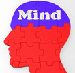 Mind Profile Shows Thoughts Ideas And Brainstorming