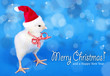 Weihnachtsküken – merry christmas