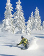 Skifahrer im Winterwonderland