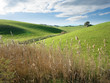 Rolling Landscape