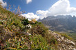 Sellagruppe - Dolomiten - Alpen