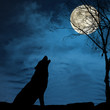 Loneliness