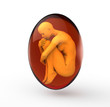 human body in cell