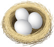 Layered vector illustration of nest eggs