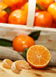 Mandarinen