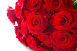 Red roses