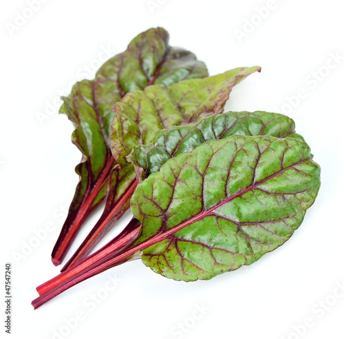 Photo: spinach beet leaves spinach beet leaves