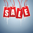 Winter Sale
